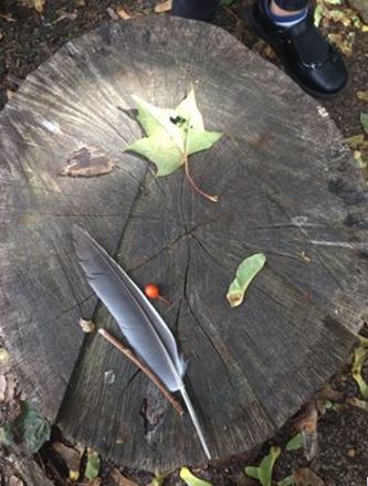 Some leaves and a feather arranged on a tree stump