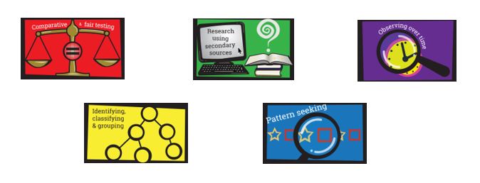 infographic showing 5 types of scientific enquiry