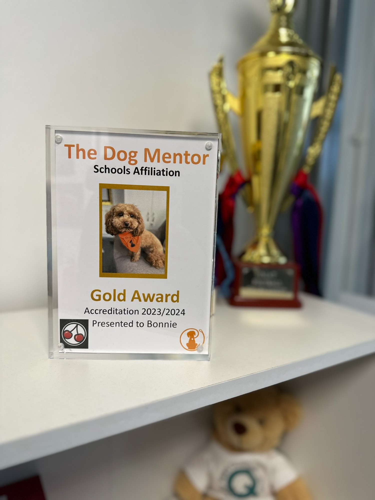 The Dog Mentor gold award certificate